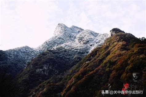 半山腰|半山腰